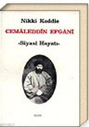 Cemaleddin Efgani - Siyasi Hayatı