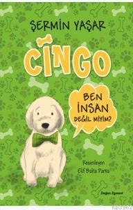 Cingo