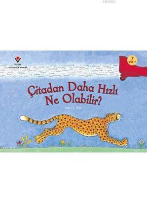 Çitadan Daha Hızlı Ne Olabilir?