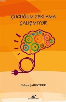 Çocuğum Zeki Ama Çalışmıyor