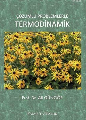 Çözümlü Problemlerle Termodinamik