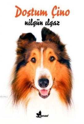 Dostum Çino