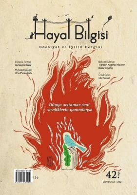 Hayal Bilgisi Dergisi - Sayı: Yıl: 11 Sayı: 42