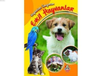 Evcil Hayvanlar - Hayvanları Tanıyorum