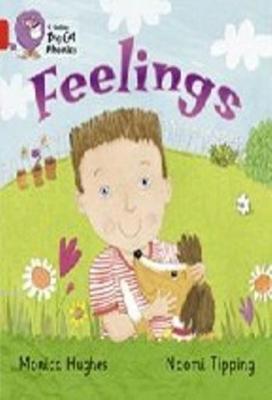 Feelings (Big Cat Phonics-2B Red)