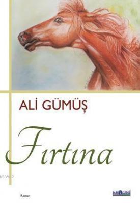 Fırtına