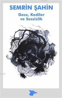 Gece, Kediler ve Sessizlik