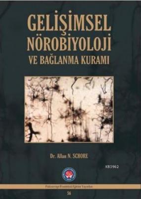 Gelişimsel Nörobiyoloji ve Bağlanma Kuramı