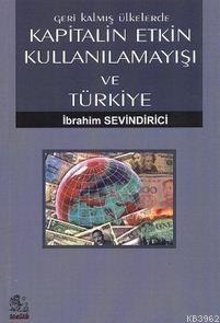 Geri Kalmış Ülkelerde Kapitalin Etkin Kullanılamayışı ve Türkiye