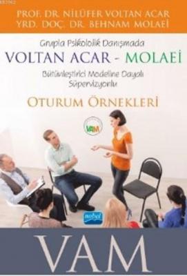 Grupla Psikolojik Danışmada VAM Bütünleştirici Modeline Dayalı Süpervizyonlu Oturum Örnekleri