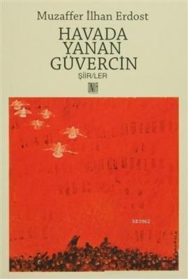 Havada Yanan Güvercin