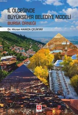 İl Ölçeğinde Büyükşehir Belediye Modeli