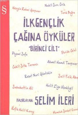 İlk Gençlik Çağına Öyküler 1. Cilt