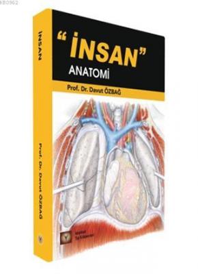 İnsan Anatomi Davut Özbağ