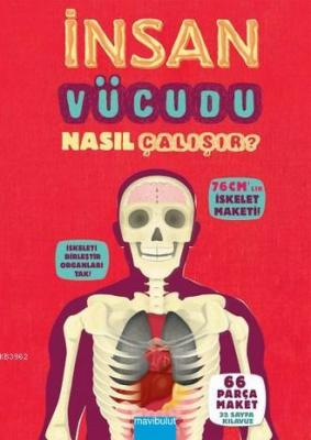 İnsan Vücudu Nasıl Çalışır? (Ciltli)