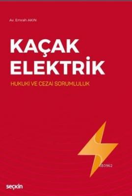 Kaçak Elektrik