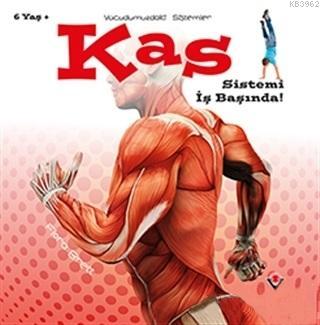 Kas Sistemi İş Başında! - Vücudumuzdaki Sistemler