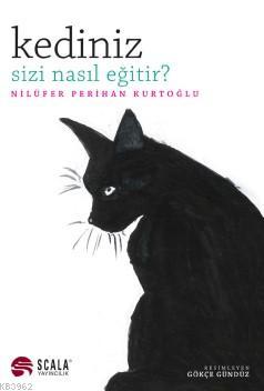 Kediniz Sizi Nasıl Eğitir?