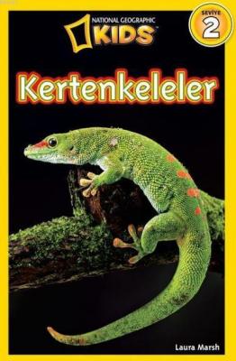 Kertenkeleler
