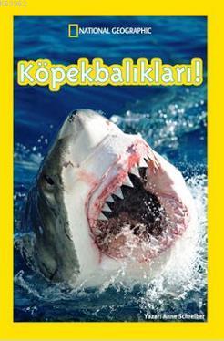 Köpekbalıkları