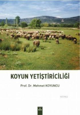 Koyun Yetiştiriciliği
