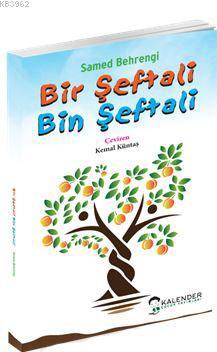 Küçük Kara Balık Samed Behrengi