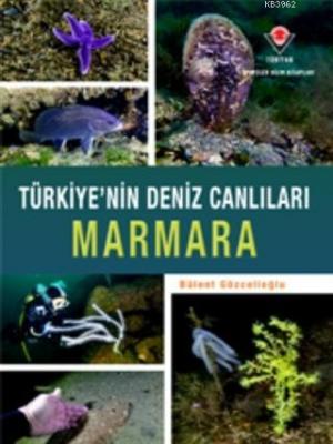 Marmara - Türkiye'nin Deniz Canlıları Ciltli Bülent Gözcelioğlu