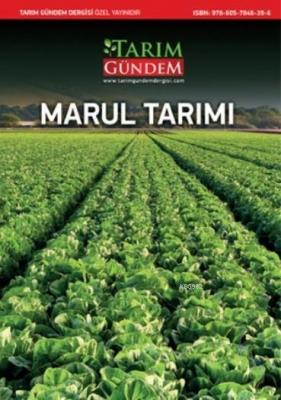 Marul Tarımı Ahmet Balkaya