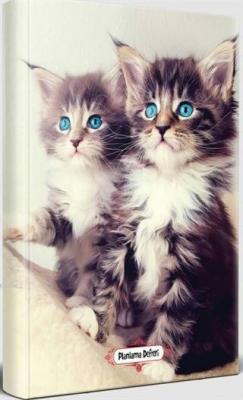 Maviş Kediler - Planlama Defteri Kolektif