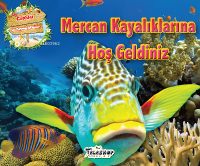 Mercan Kayalıklarına Hoşgeldiniz