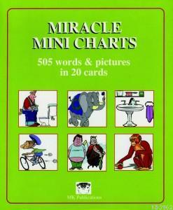 Miracle Mini Charts - Nouns
