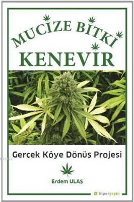 Mucizevi Bitki Kenevir Gerçek Köye Dönüş Projesi
