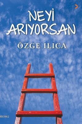 Neyi Arıyorsan