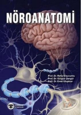 Nöroanatomi