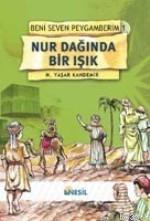 Nur Dağında Bir Işık Mehmet Yaşar Kandemir
