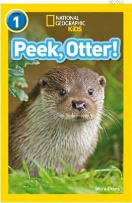 Peek, Otter! (Readers 1) Shira Evans