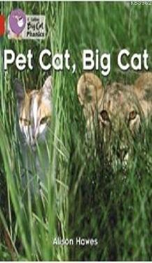 Pet Cat, Big Cat (Big Cat Phonics-2A Red)