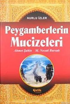 Peygamberlerin Mucizeleri Ahmet Şahin Mustafa Necati Bursalı Mustafa N