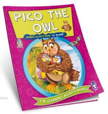 Pico the Owl Learns Allah's Name Al Mujeeb Nur Kutlu