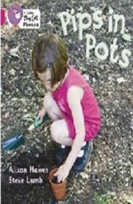 Pips in Pots (Big Cat Phonics-1B Pink)