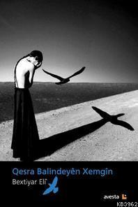 Qesra Balindeyen Xemgin