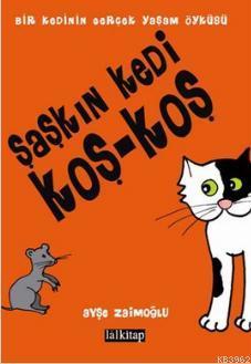 Şaşkın Kedi Koş - Koş