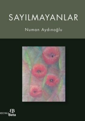 Sayılmayanlar