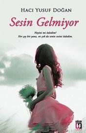 Sesin Gelmiyor
