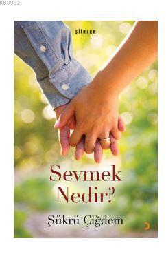 Sevmek Nedir? Şükrü Çiğdem