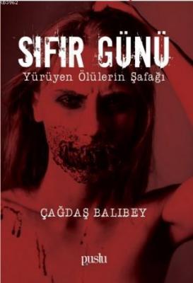 Sıfır Günü
