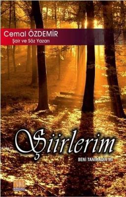 Şiirlerim Beni Tanımadın mı
