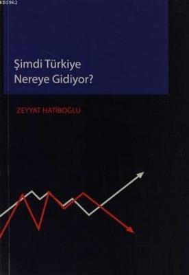 Şimdi Türkiye Nereye Gidiyor Zeyyat Hatiboğlu
