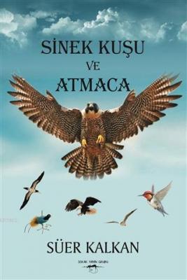 Sinek Kuşu ve Atmaca