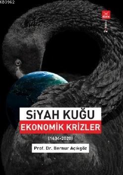 Siyah Kuğu - Ekonomik Krizler
